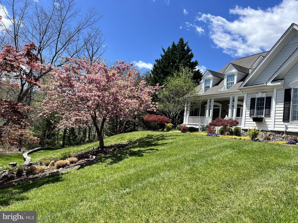 view of yard featuring a porch