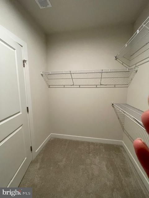 spacious closet featuring carpet floors and visible vents