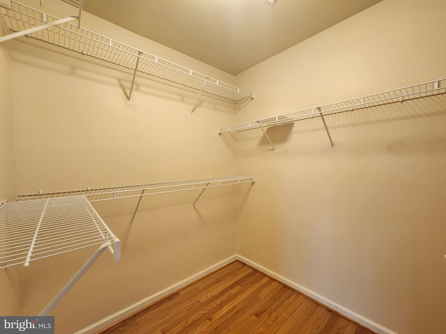 walk in closet with light wood finished floors