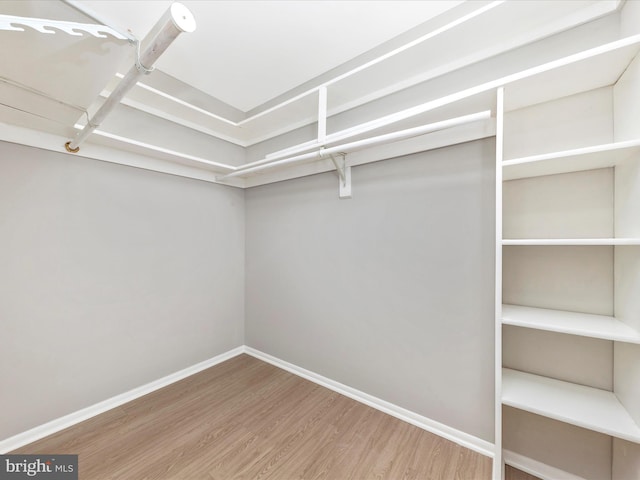 walk in closet featuring wood finished floors