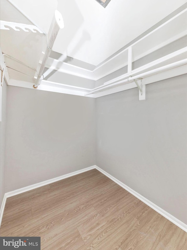 walk in closet with light wood-type flooring