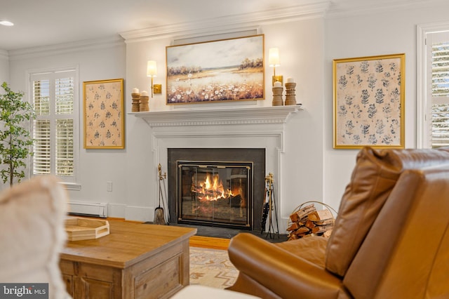 living area featuring a baseboard heating unit, plenty of natural light, ornamental molding, and a glass covered fireplace