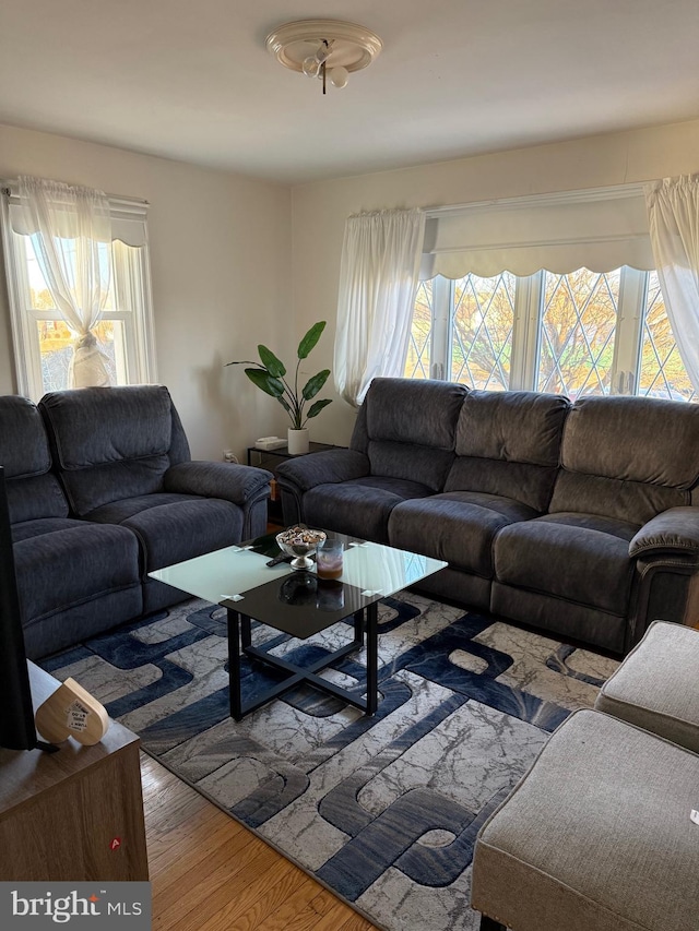 living area featuring wood finished floors