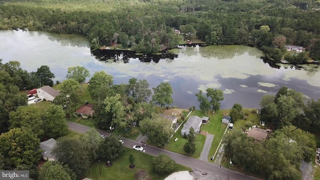 birds eye view of property with a water view and a forest view