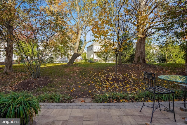 view of yard featuring a patio