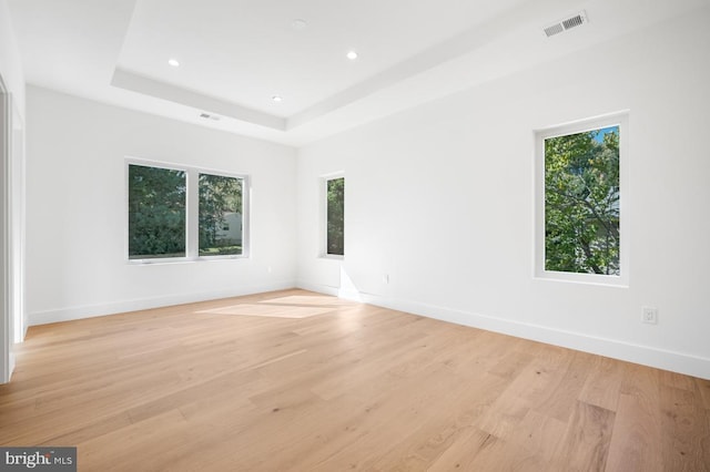 spare room with light wood-style floors, plenty of natural light, and a tray ceiling