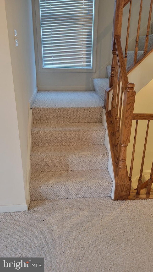 stairway featuring carpet floors and baseboards