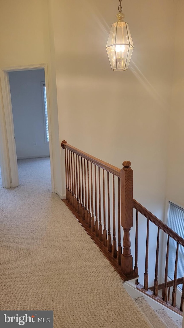 stairs with a towering ceiling and carpet floors