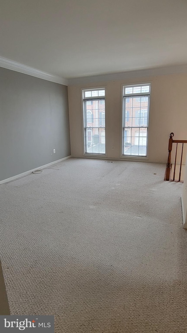 empty room with carpet floors and crown molding