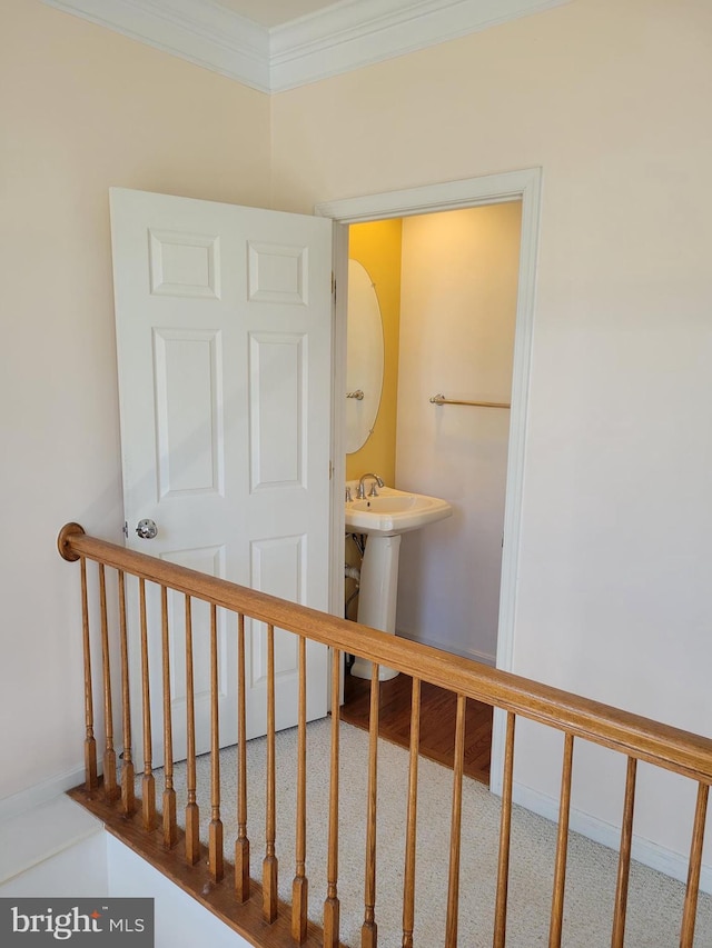 staircase featuring ornamental molding and baseboards