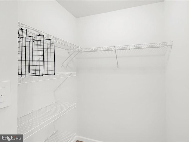 view of walk in closet