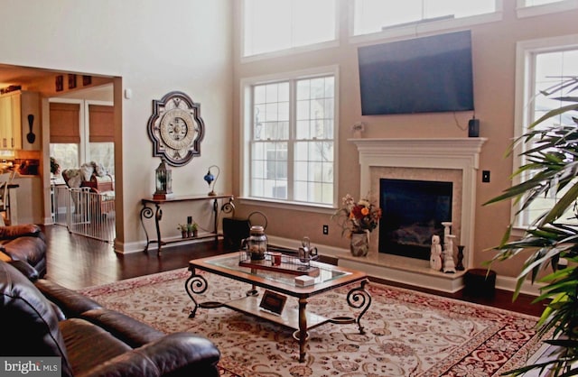 living room with baseboards, wood finished floors, a high end fireplace, and a healthy amount of sunlight