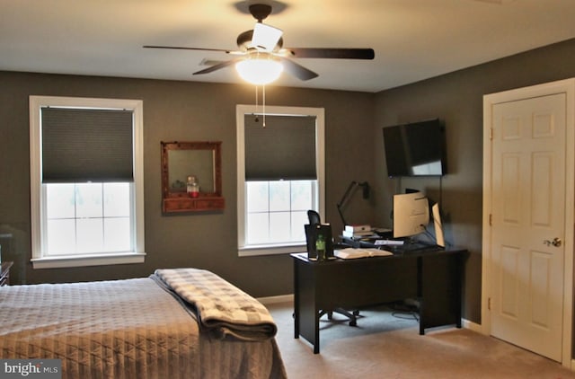 carpeted bedroom with a ceiling fan, multiple windows, and baseboards