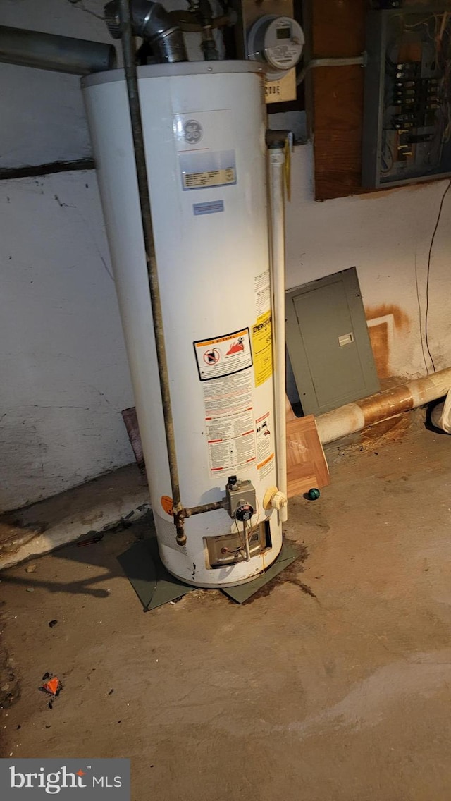 utilities with electric panel and gas water heater