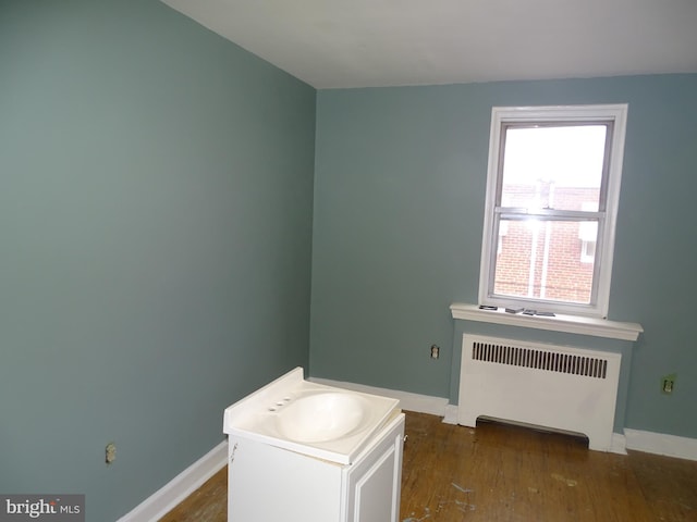 interior space with baseboards, wood finished floors, and radiator