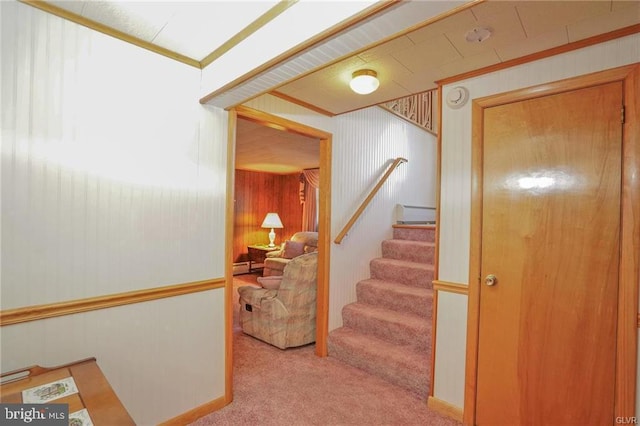 stairs with crown molding and carpet flooring