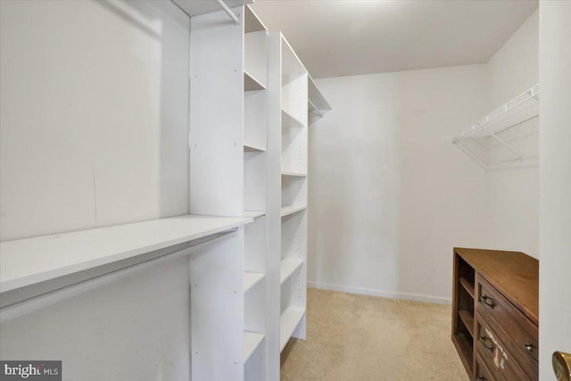 spacious closet with light colored carpet