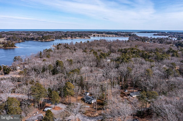 bird's eye view with a water view and a view of trees