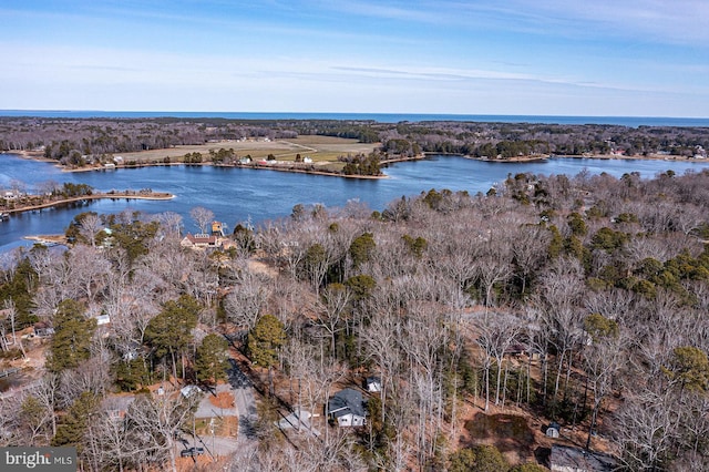 bird's eye view featuring a water view and a wooded view