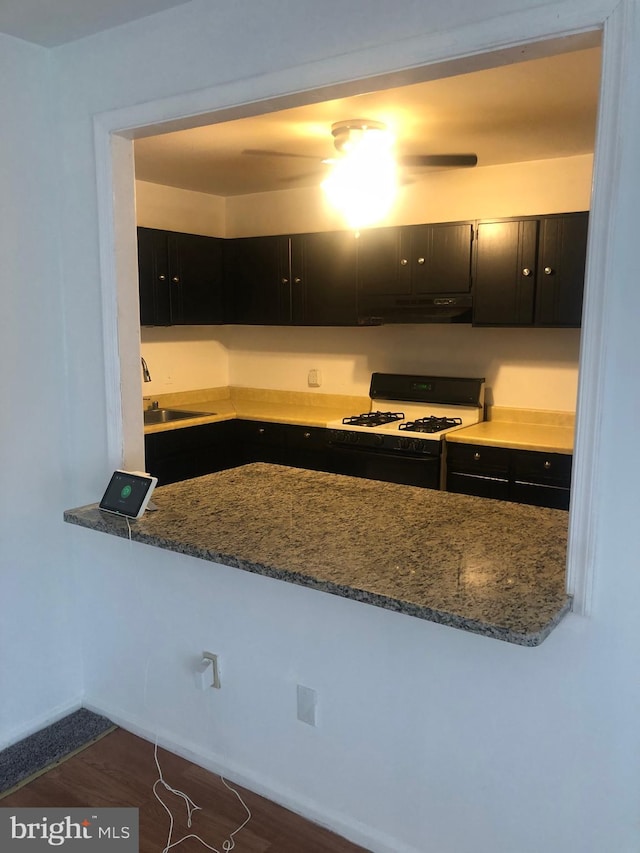 kitchen with a sink, gas range, and dark cabinets