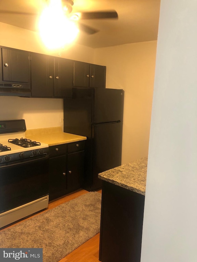 kitchen with under cabinet range hood, dark cabinetry, light wood-type flooring, freestanding refrigerator, and gas range