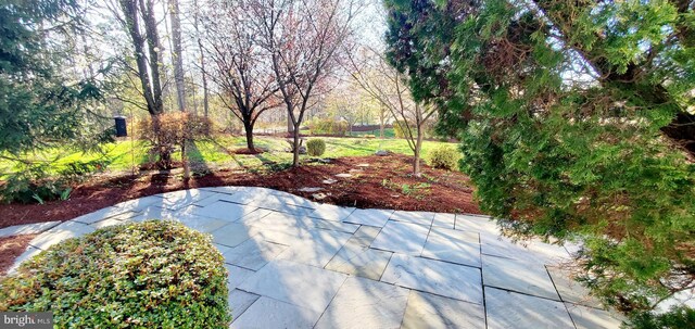 20153 Valhalla Sq, Ashburn, VA 20147 - view of patio / terrace
