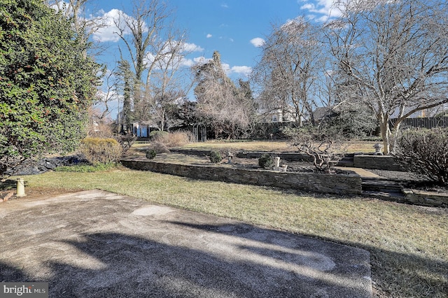 view of yard featuring a patio