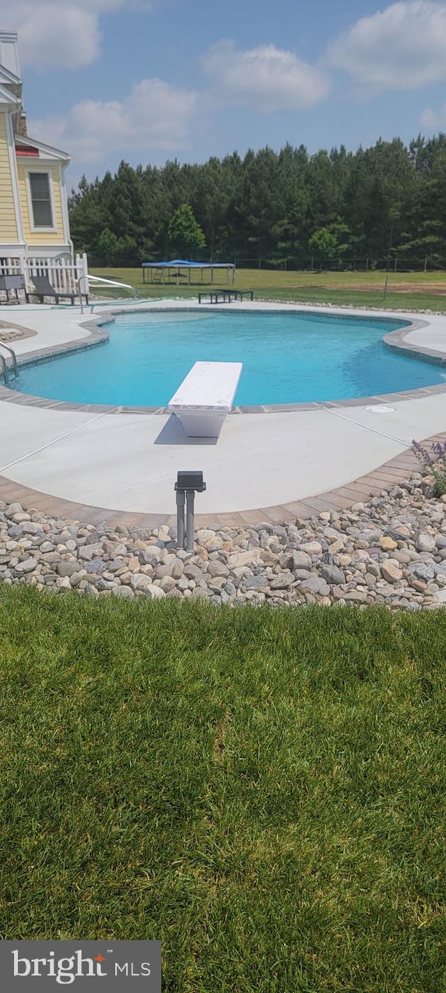 outdoor pool featuring a diving board