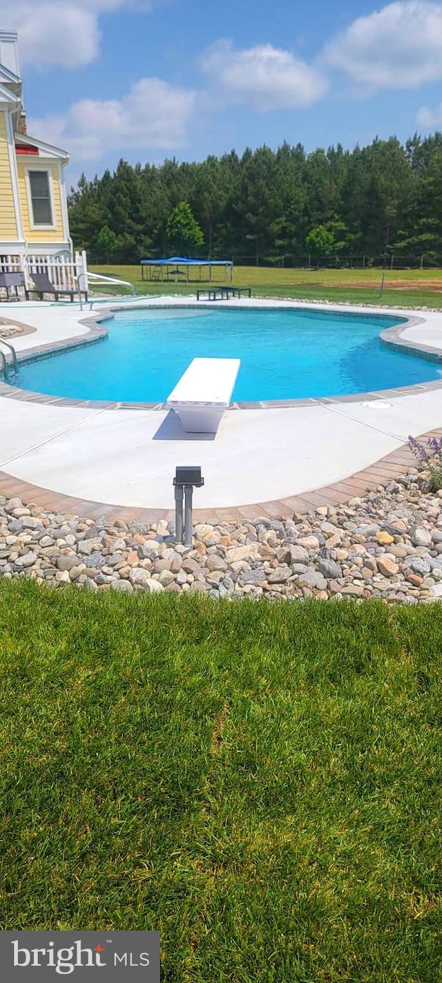 pool featuring a diving board