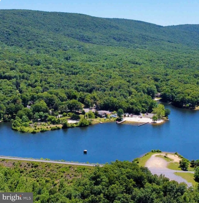 bird's eye view with a water view and a view of trees