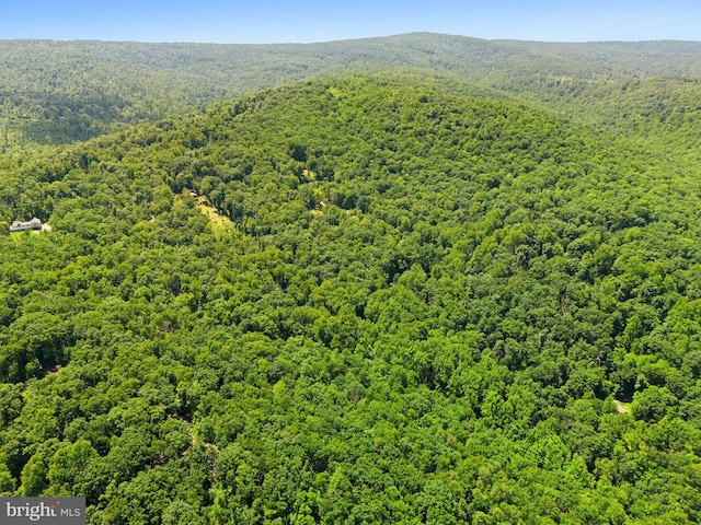 aerial view with a forest view