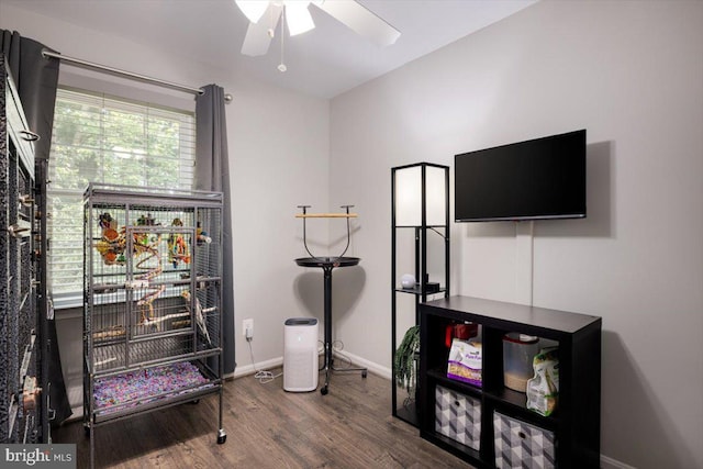 miscellaneous room with ceiling fan, baseboards, and wood finished floors