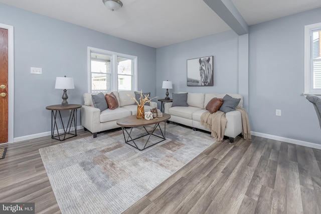 living room featuring baseboards and wood finished floors