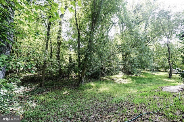 view of local wilderness featuring a wooded view