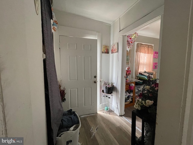 entryway featuring wood finished floors