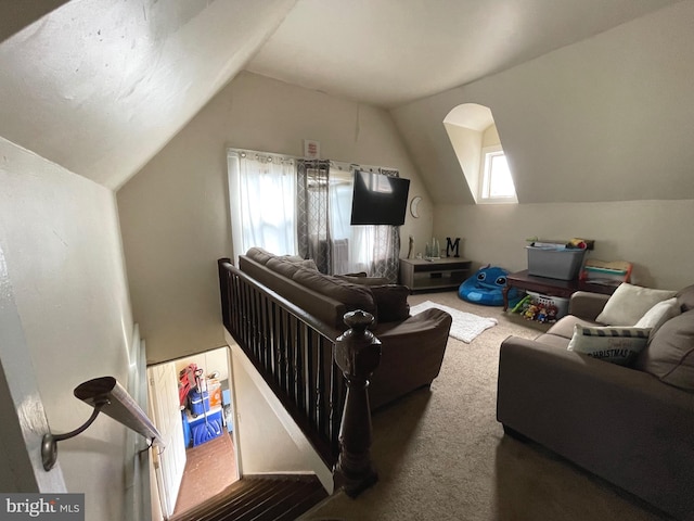 carpeted cinema with lofted ceiling