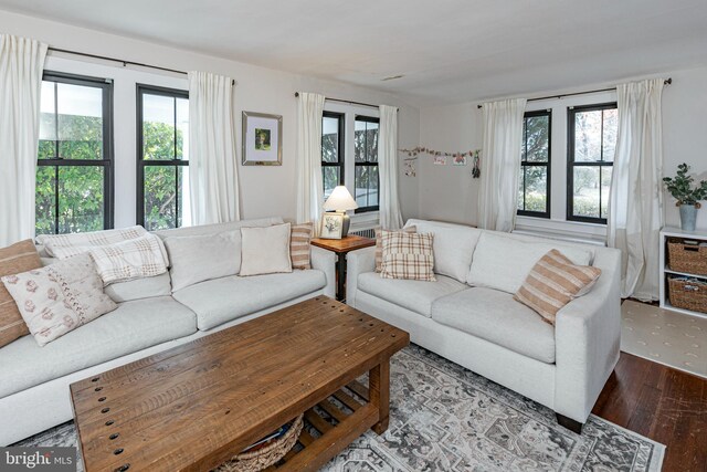 living room with wood finished floors and a healthy amount of sunlight