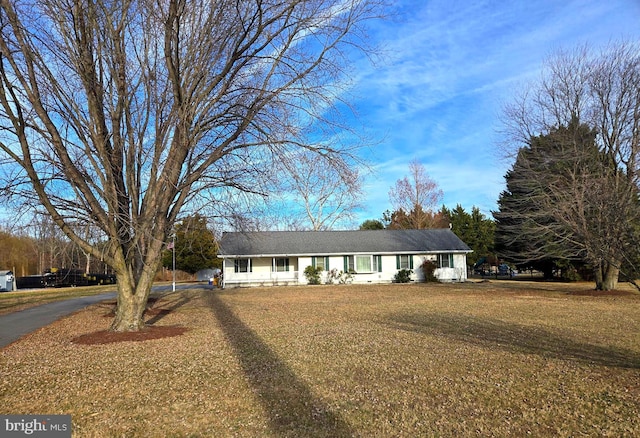 ranch-style house with a front yard