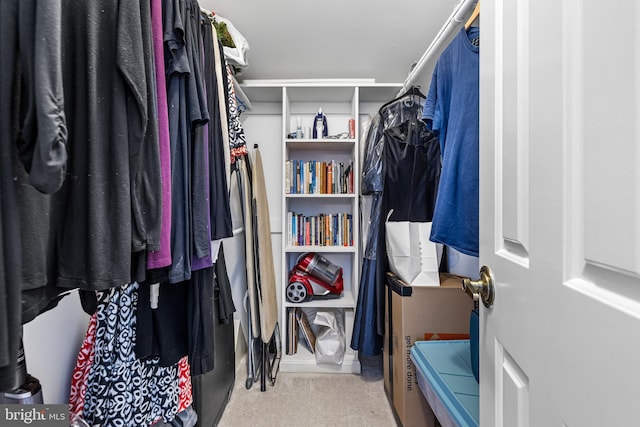 walk in closet with carpet