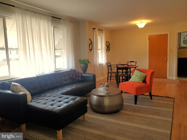 living area featuring baseboards and wood finished floors