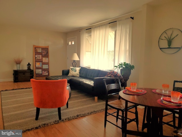 living area with wood finished floors