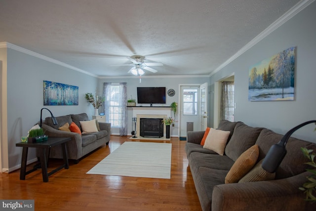 living room with a textured ceiling, ornamental molding, and wood finished floors