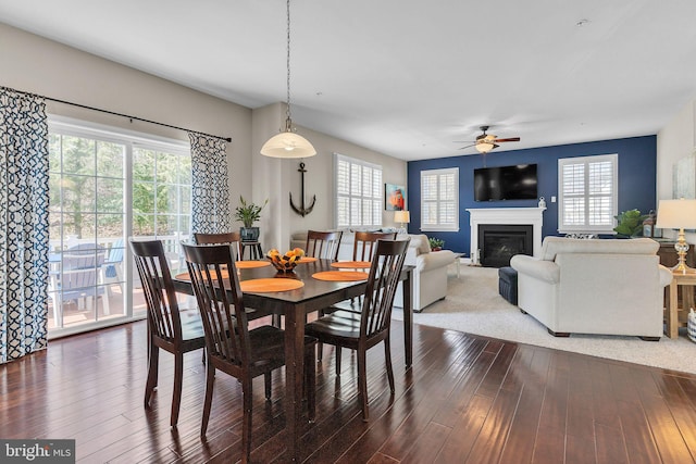 dining room with a fireplace with flush hearth, dark wood-style flooring, and a healthy amount of sunlight