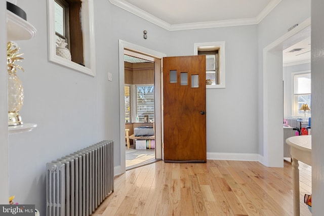 entryway with crown molding, radiator heating unit, plenty of natural light, and light wood finished floors