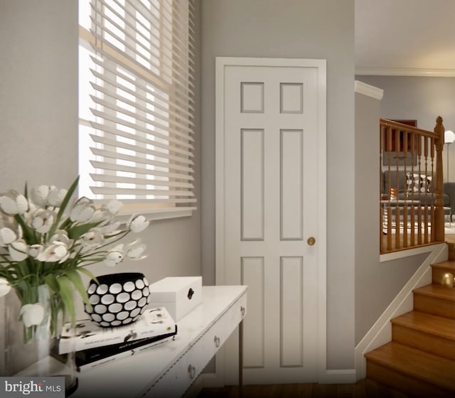 bathroom featuring ornamental molding and baseboards