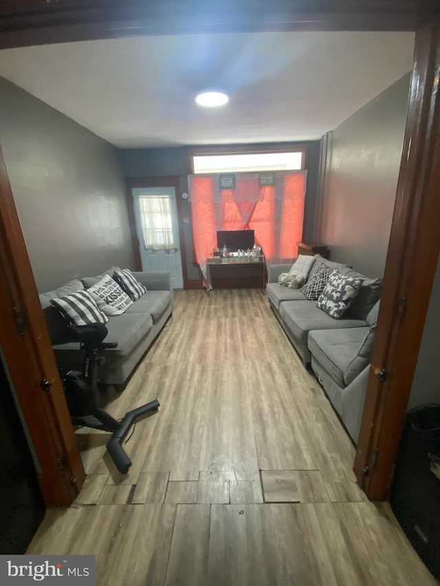 living area featuring wood finished floors