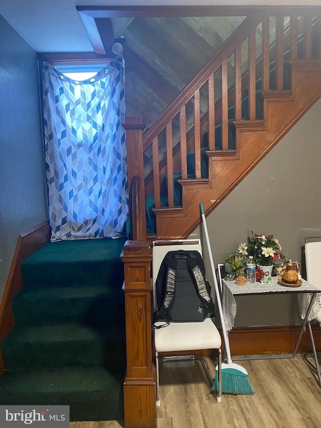 staircase featuring wood finished floors