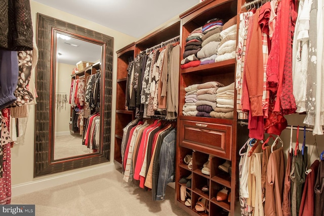 walk in closet with carpet flooring