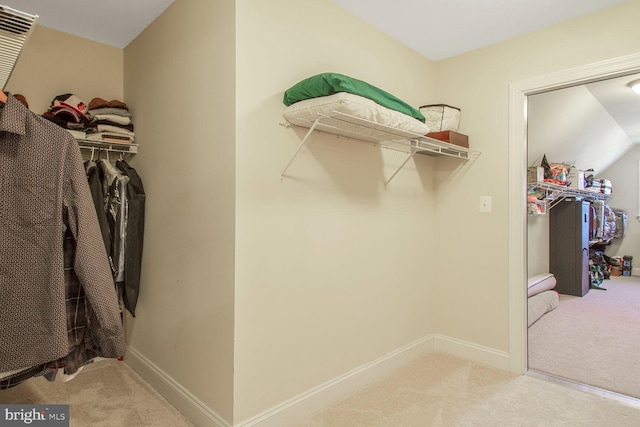 walk in closet featuring carpet flooring