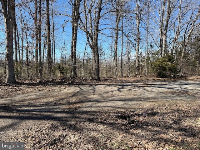 LOT2A Zachary Taylor Hwy, Orange VA, 22960 land for sale